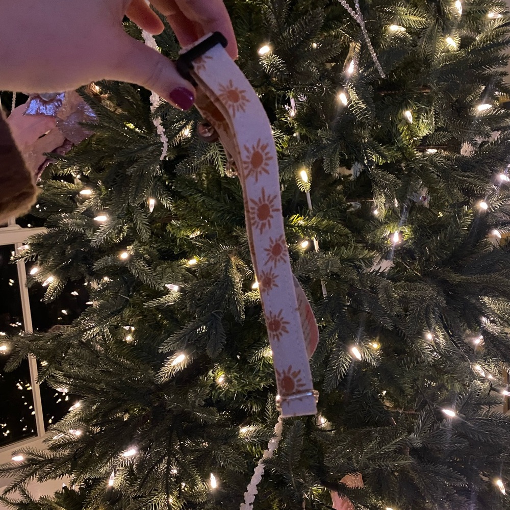 Sunshine Boutique Dog Collar
